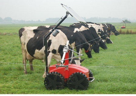 Frontal Grazing The Innovative Way Farmstyle Australia